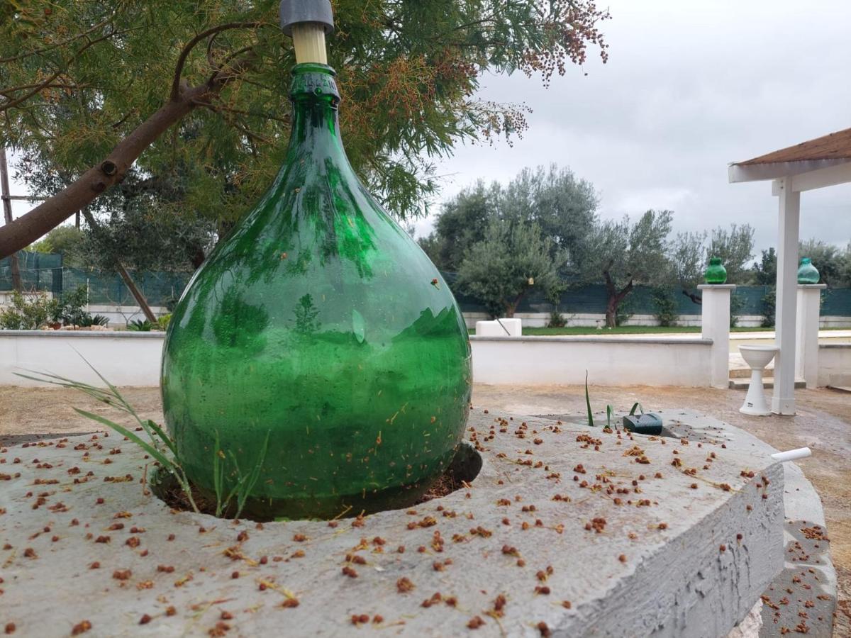 Il Vecchio Carrubo - Villa Con Piscina A Sfioro Macchia di Monte Exterior photo