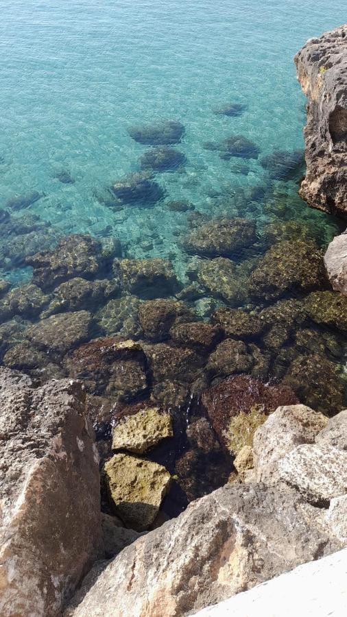 Il Vecchio Carrubo - Villa Con Piscina A Sfioro Macchia di Monte Exterior photo